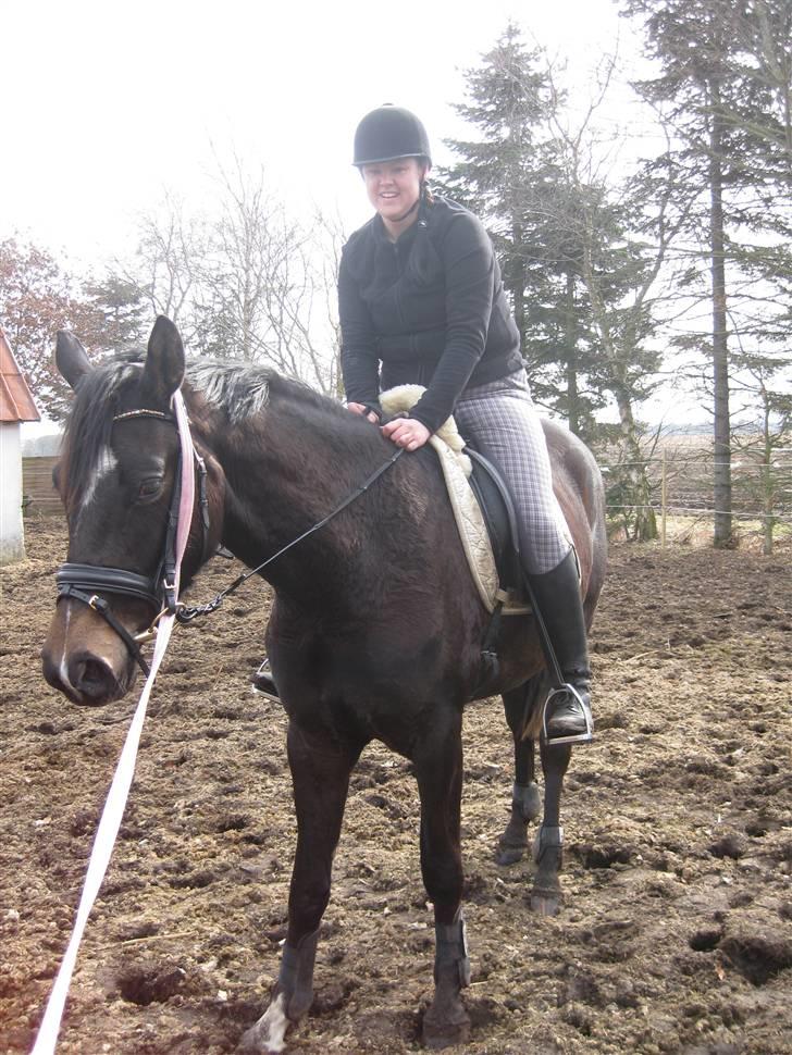 Dansk Varmblod Miss Light - er lige kommet op for 1 gang, jeg var lidt utryg ved det hele :) hun var super cool billede 12