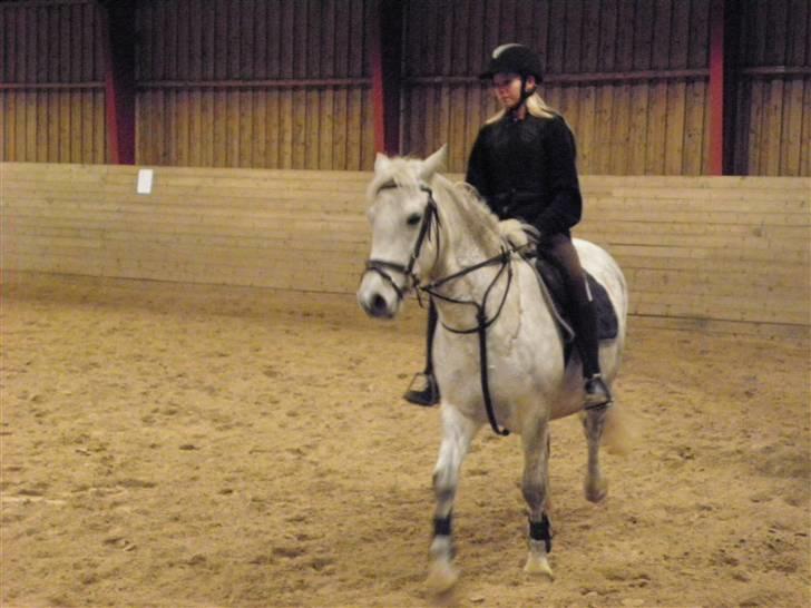 DSP Dü mapromis (solgt) billede 13