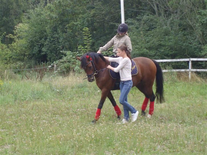 New Forest Kalkwijks Raiza billede 8