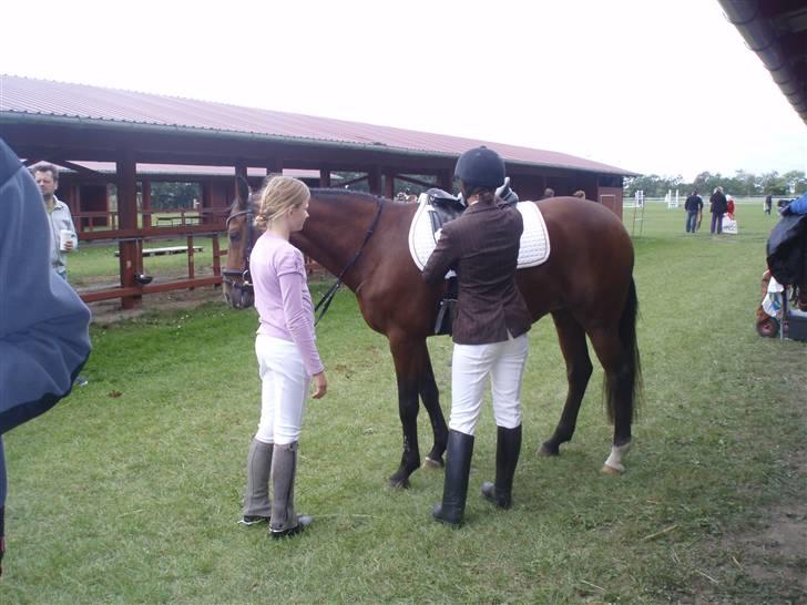 New Forest Kalkwijks Raiza billede 12