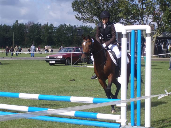 New Forest Kalkwijks Raiza billede 14