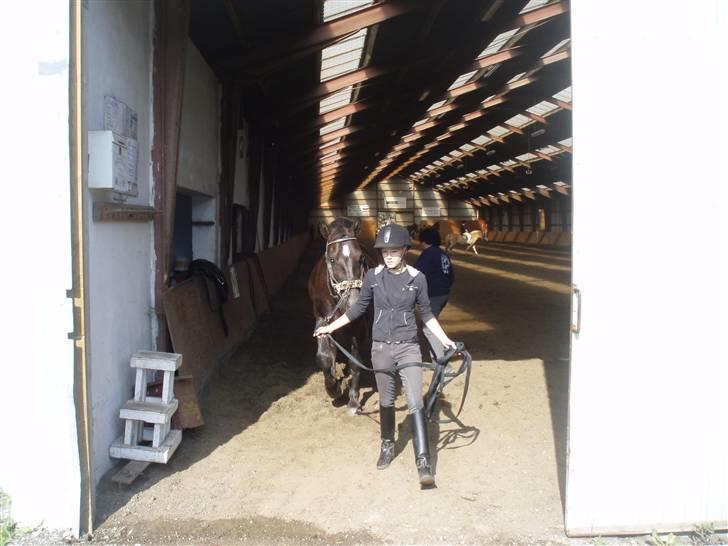 Oldenborg Granat Anholm  (SOLGT) billede 14