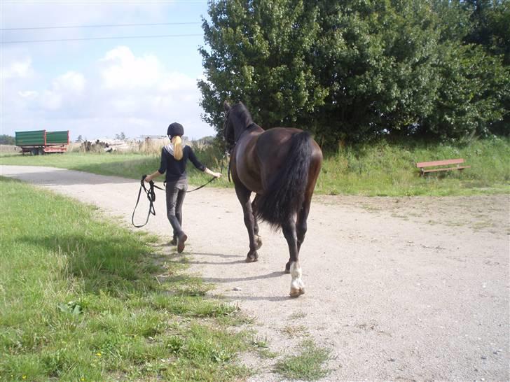 Oldenborg Granat Anholm  (SOLGT) billede 17