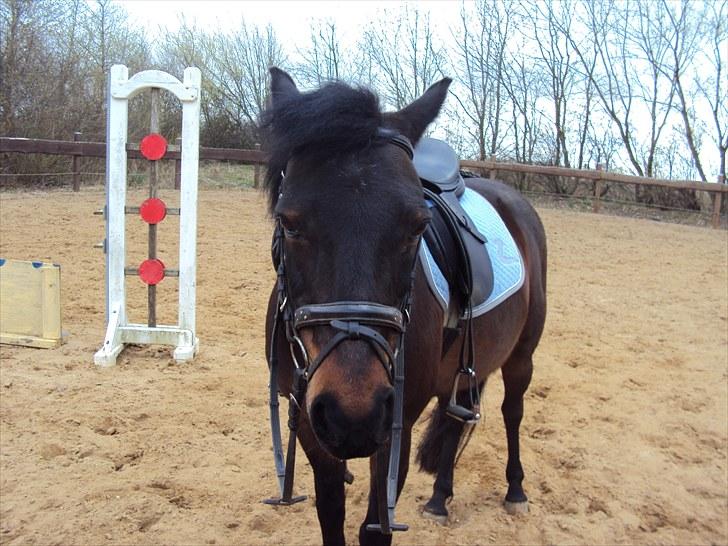 Anden særlig race Star Girl - Star-tøzzen siger;  Farvel og tak for besøget! Lig gerne en besked!  billede 20