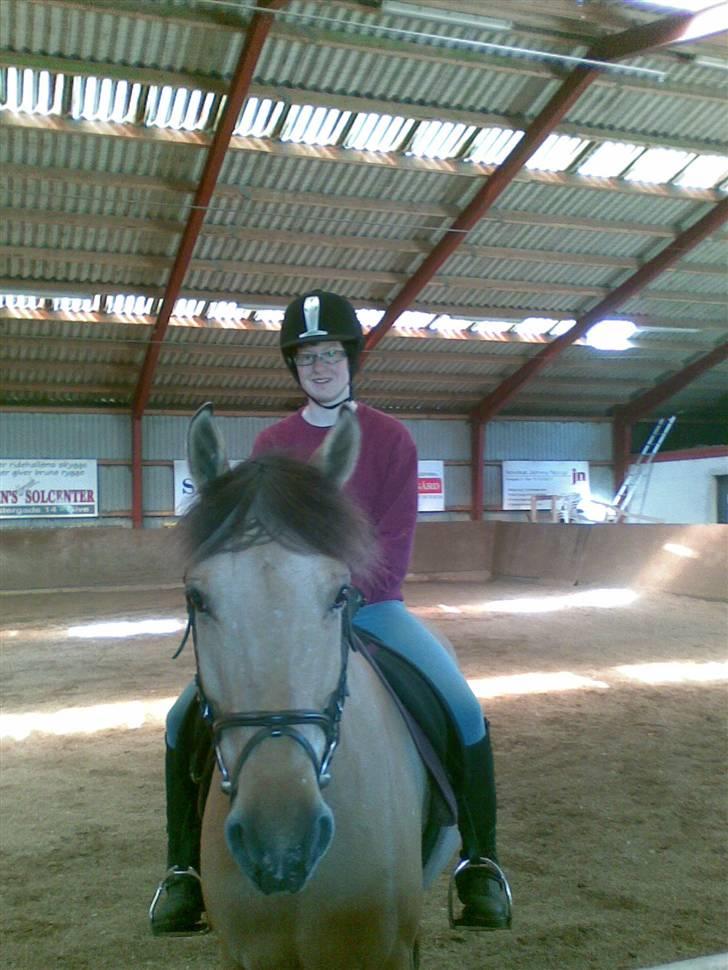 Anden særlig race Sonny billede 4