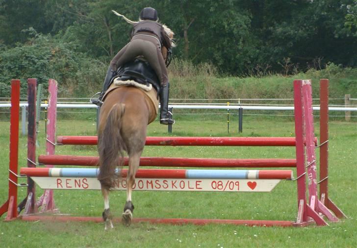 Anden særlig race Salvador<3 SOLGT - springning igen til  åbenhus på rus 27-10-09 billede 17