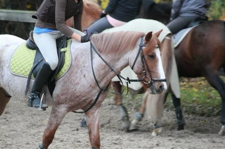 Anden særlig race Spiderman (Napoli) billede 10