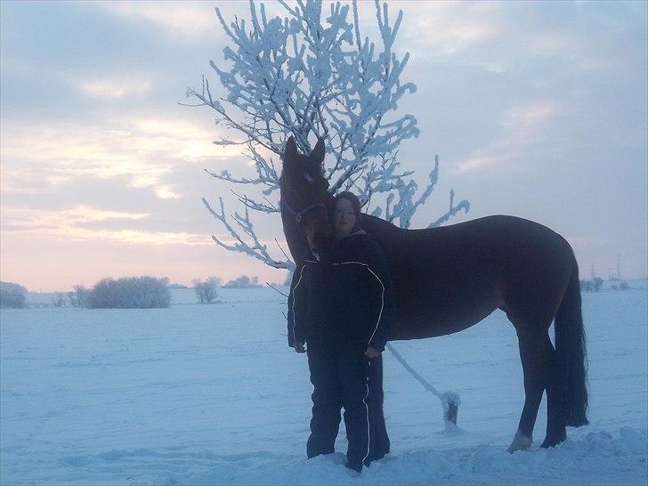 Anden særlig race Chanelly  billede 10