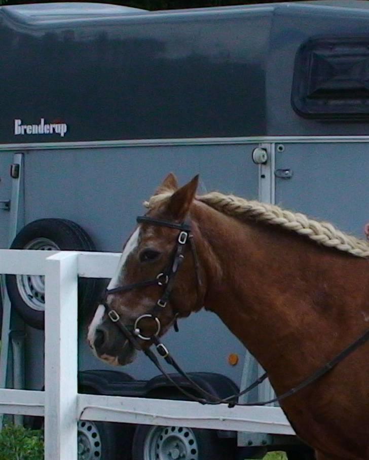 Anden særlig race Jack R.I.P :`( - SE LIGE SMUKKE MIG  billede 13