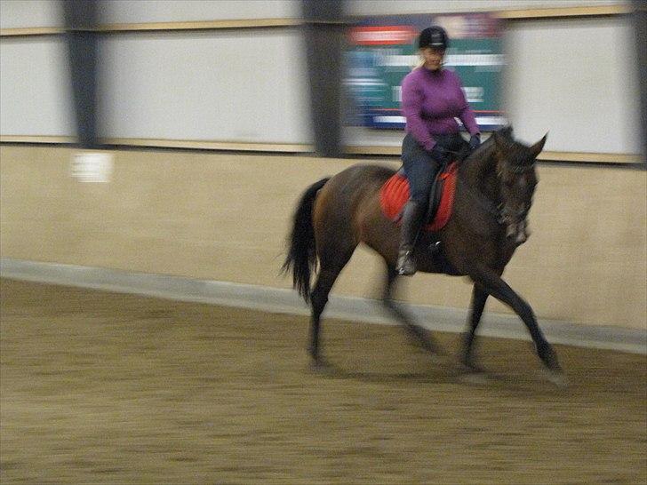 Anden særlig race KONGELUNDENS SMILLA billede 2