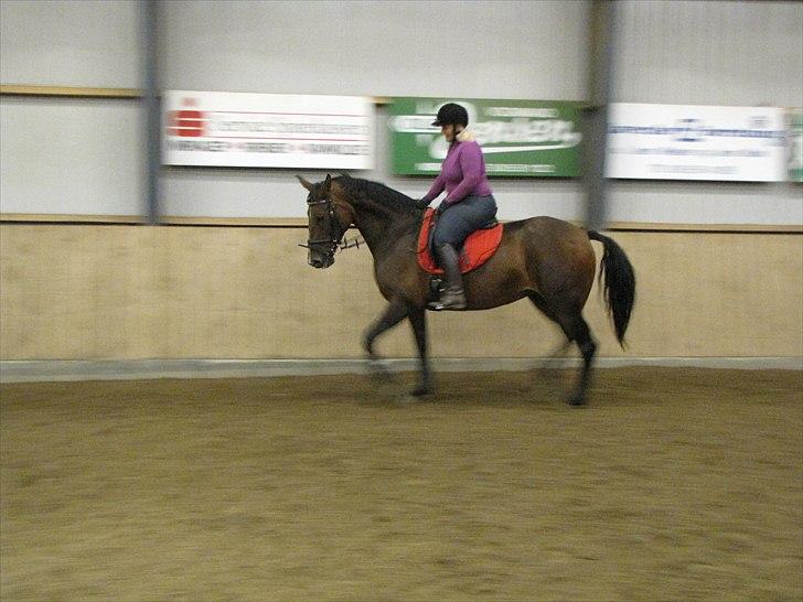 Anden særlig race KONGELUNDENS SMILLA billede 4