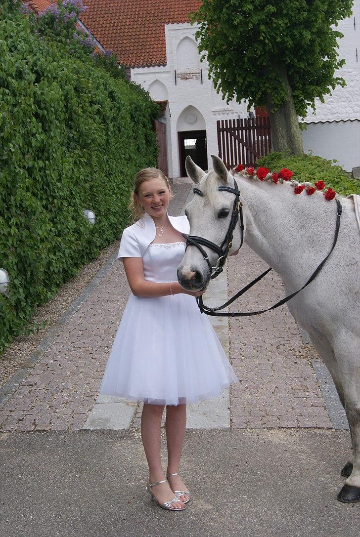 DSP Præstemarkens Mahogni |Honey| -  Honey kom til Kirken d. 20/5-11... Min konfirmation :D Love yo Honey. Mie og Ida havde gjort dig så SMUK |Foto: Lone A (mor)| billede 22