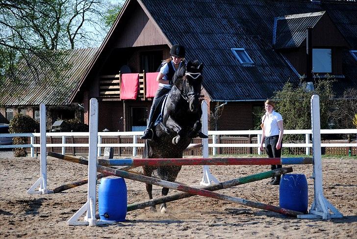 Anden særlig race Diablo - Diablo og jeg til springundervisning april 2011. Da vi er inde i en dårlig periode, springer vi ikke så højt pt.  [Foto: Helle med mit kamera] billede 4