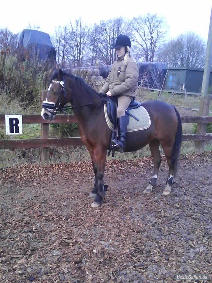 Anden særlig race Beauty ( gammel part) - velkommen til Beautys profil <33 lig venligst en kommentar <3 billede 1