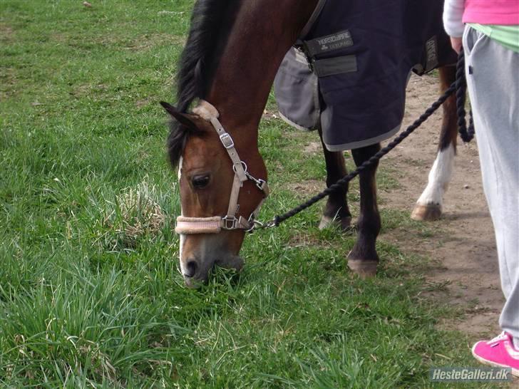 Anden særlig race Beauty ( gammel part) - elsker dig mulle :* billede 2