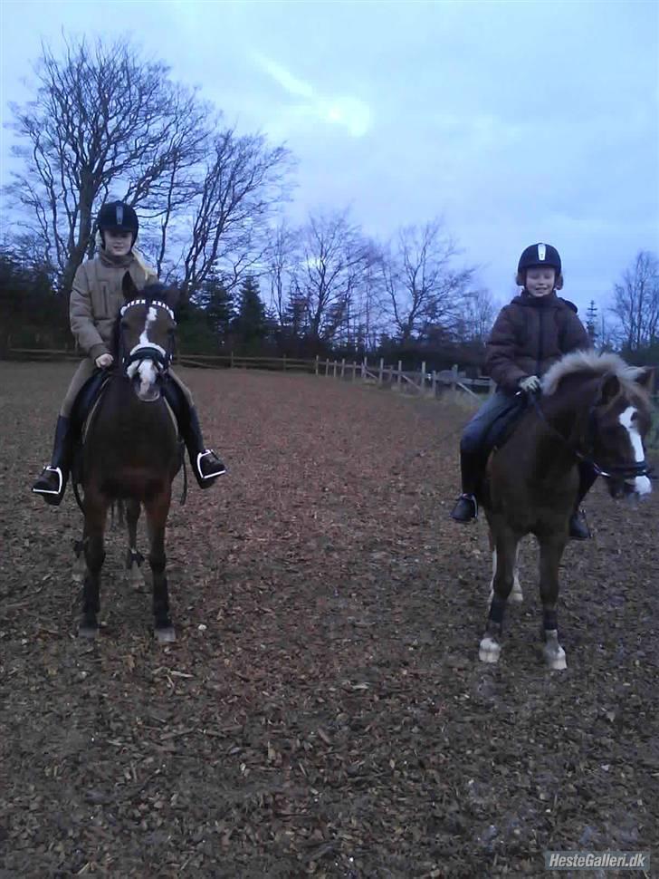 Anden særlig race Beauty ( gammel part) - mig og Beauty og signe og Fizz <3 mega hygeligt den dag... billede 3