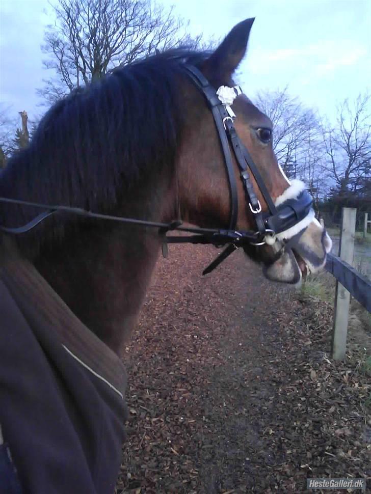 Anden særlig race Beauty ( gammel part) - hvis du ikke er sød så ved jeg ikke hvem der er :* billede 5