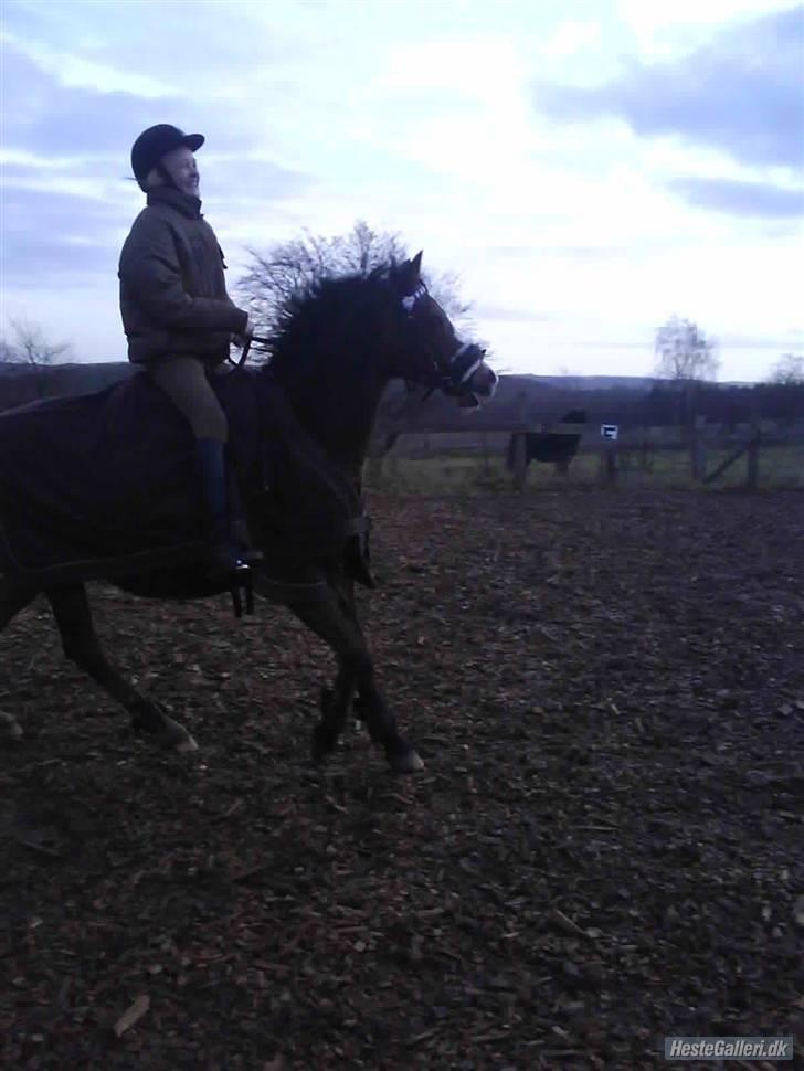 Anden særlig race Beauty ( gammel part) - hun ville lige galopere, og jeg var ikke helt klar:) billede 7