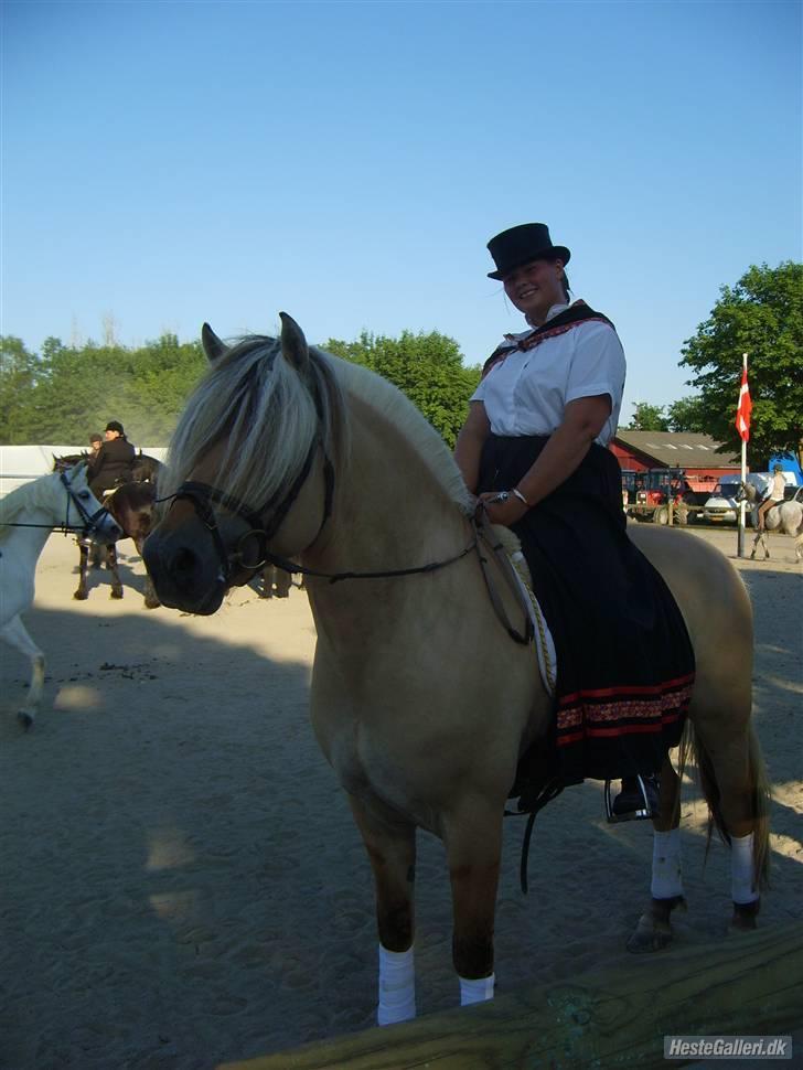Fjordhest Mosegårdens kejser billede 19