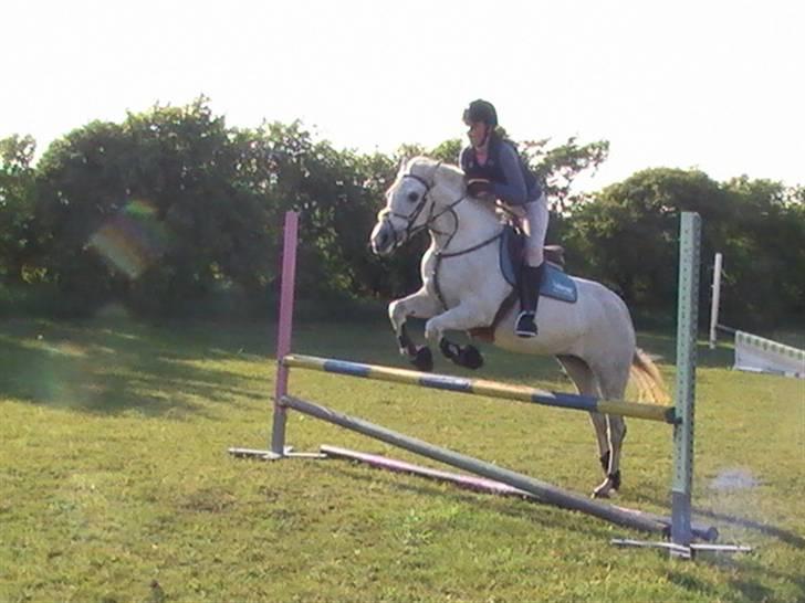 DSP Indian Spirit solgt:'( - undervisning ved torben :D billede 1