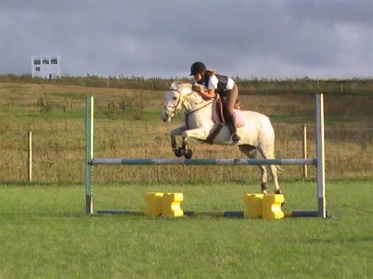 DSP Indian Spirit solgt:'( - undervisning ved torben :D billede 2