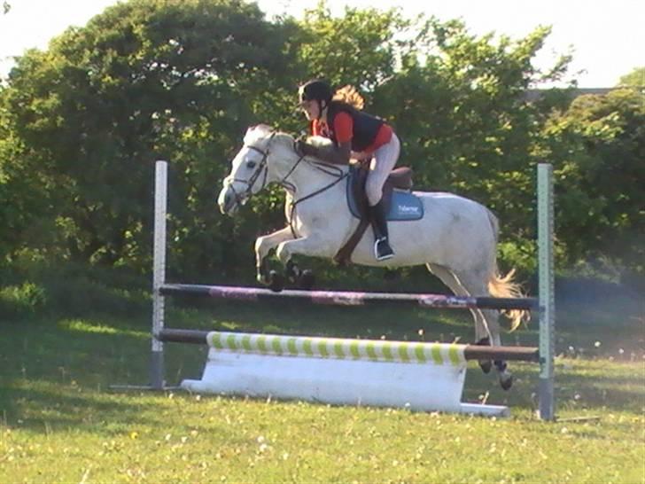 DSP Indian Spirit solgt:'( - undervisning ved torben :D billede 3