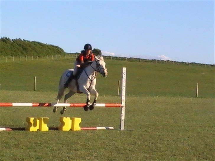 DSP Indian Spirit solgt:'( - undervisning ved torben :D billede 4