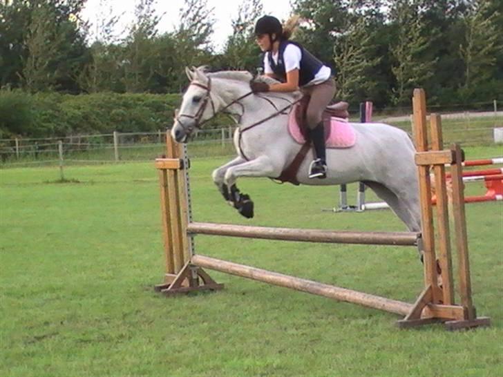 DSP Indian Spirit solgt:'( - undervisning ved torben :D billede 5