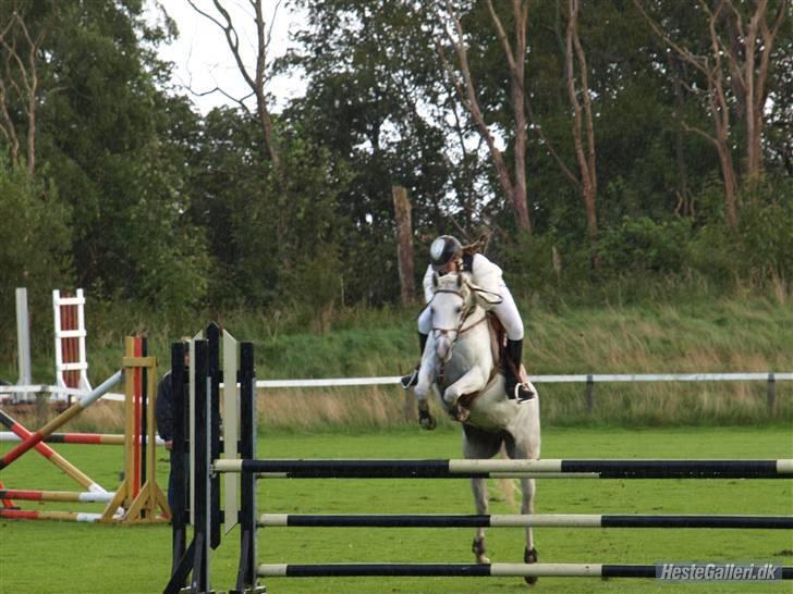 DSP Indian Spirit solgt:'( - LA i hjørring billede 6