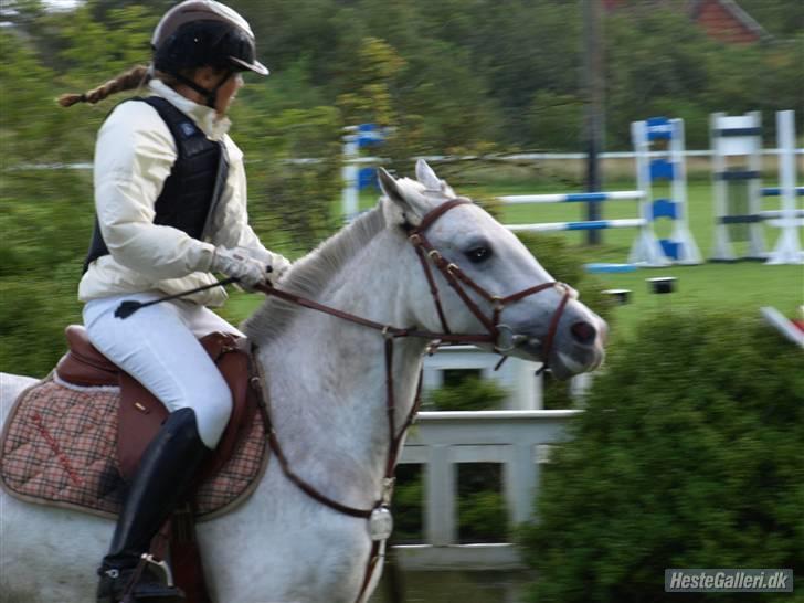 DSP Indian Spirit solgt:'( - hjørring billede 7