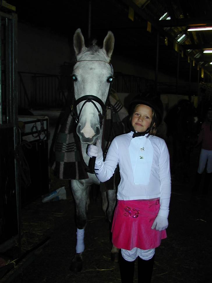 DSP Indian Spirit solgt:'( - føreste julestævne :D billede 16