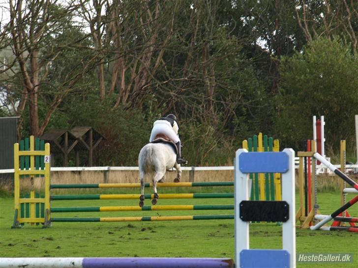 DSP Indian Spirit solgt:'( - LA i hjørring billede 18