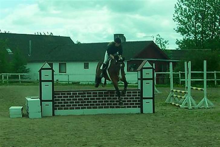 Anden særlig race Malik billede 12