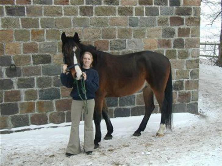 Anden særlig race Malik billede 16