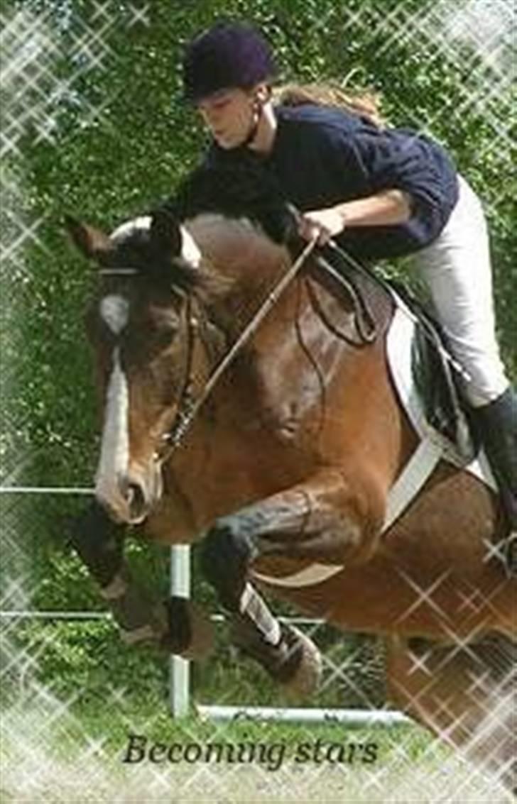 Anden særlig race Malik billede 17