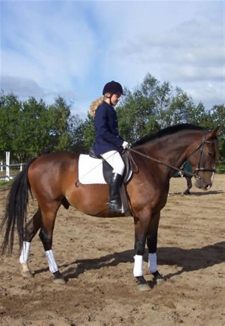 Anden særlig race Malik billede 18