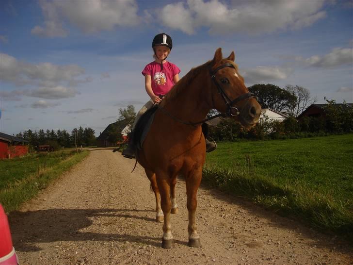 Anden særlig race lucas  billede 1