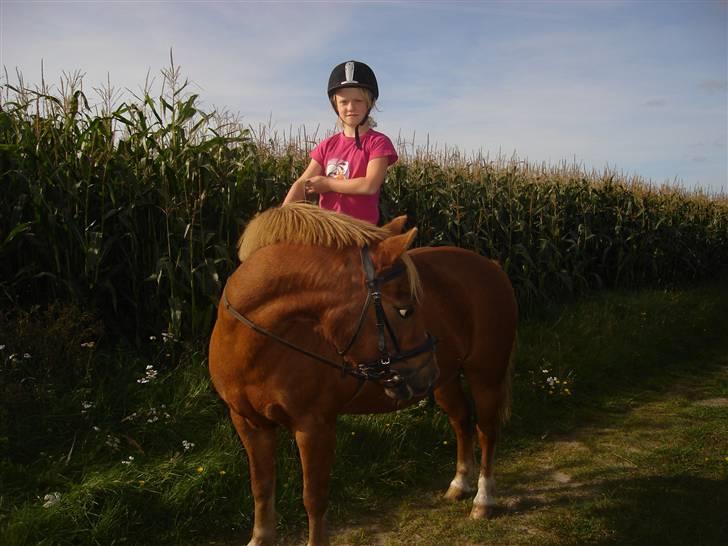 Anden særlig race lucas  billede 5