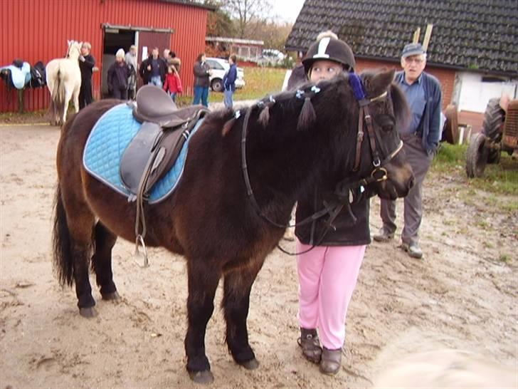 Anden særlig race Ejner solgt  - judith og ejner billede 9