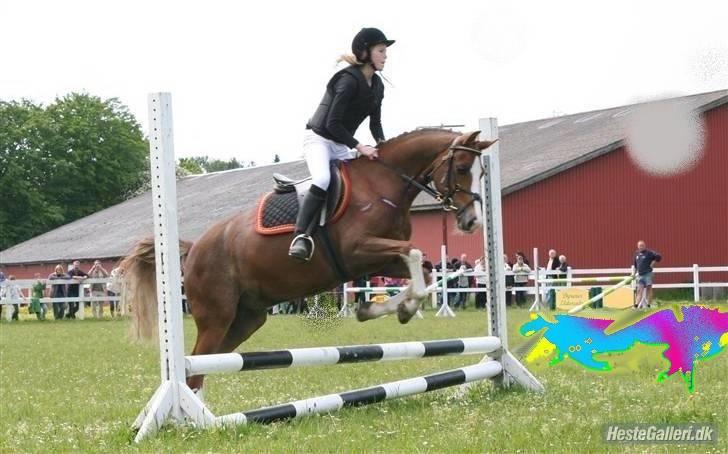 Anden særlig race Jupiter billede 1