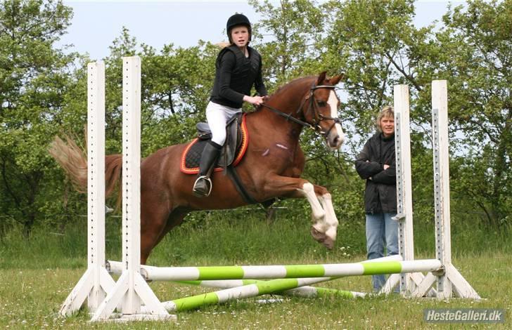 Anden særlig race Jupiter billede 2