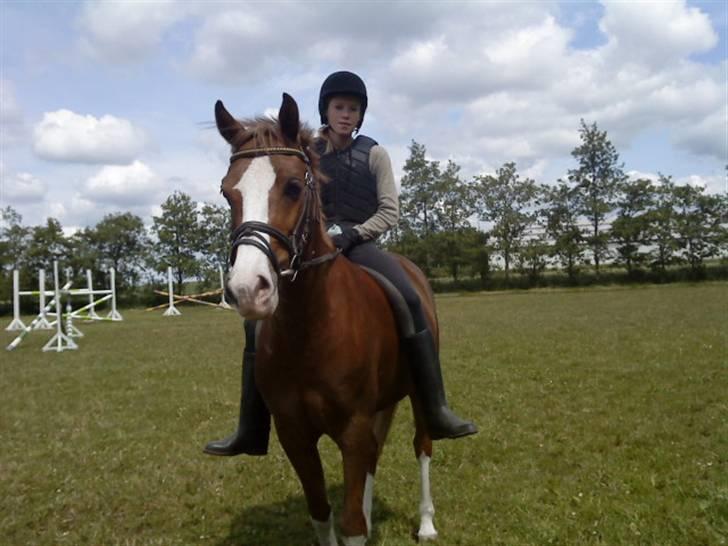 Anden særlig race Jupiter billede 4