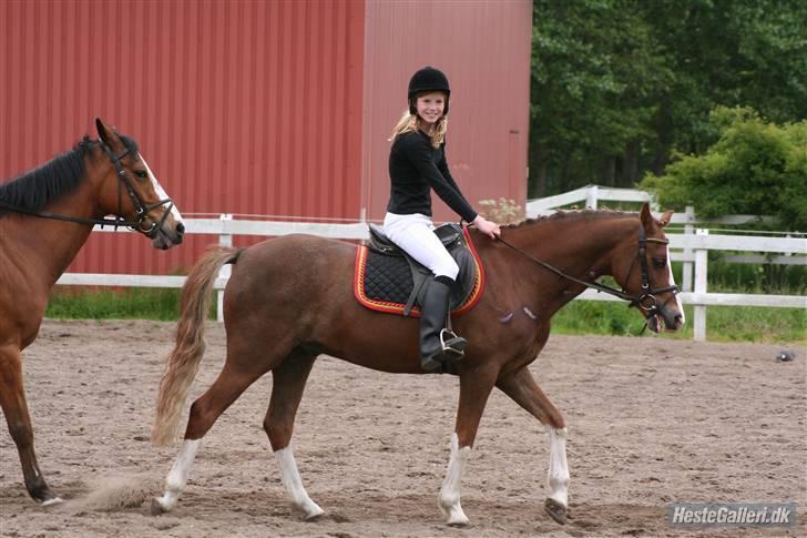 Anden særlig race Jupiter billede 5
