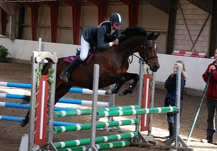 Anden særlig race Medoris  - Medoris og Annika til stævne HGR.! Læg venligst en kommentar.! Tak.! <3 Foto: Emma Schødt Culmsee billede 4