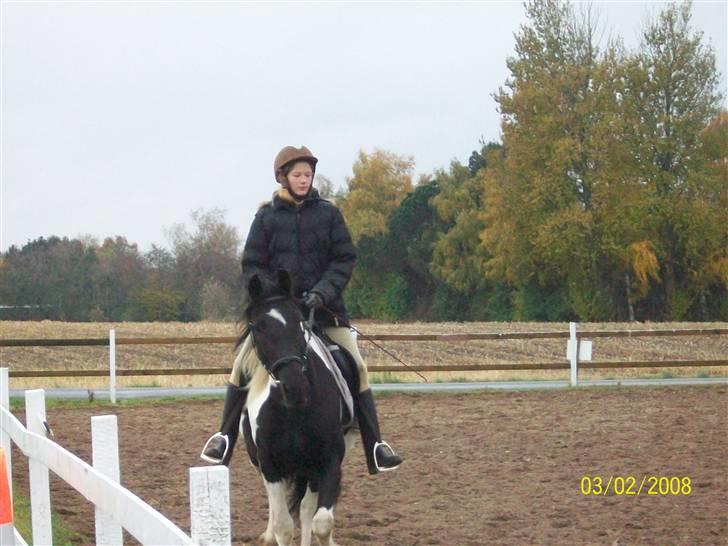 Barockpinto La Santa ¤ solgt ¤ :'( - Savner min plettede skønhed  Foto: Far billede 2