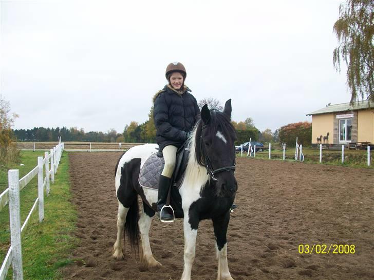 Barockpinto La Santa ¤ solgt ¤ :'( - Savner min plettede skønhed. Foto: far billede 3