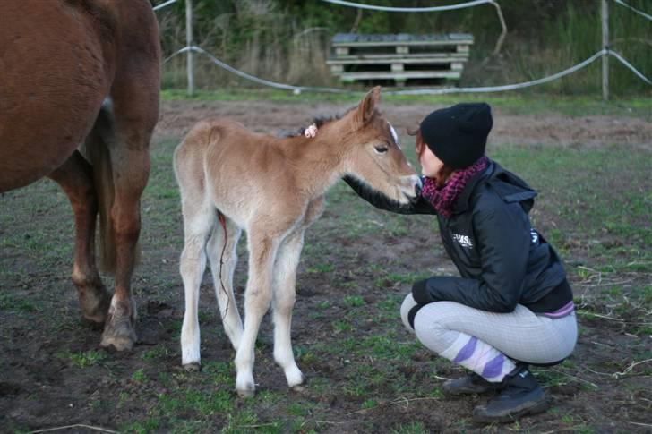 Anden særlig race Bella-Luna - Hun er kun 1 dag gammel og stoler allerede meget på mig<3 billede 2