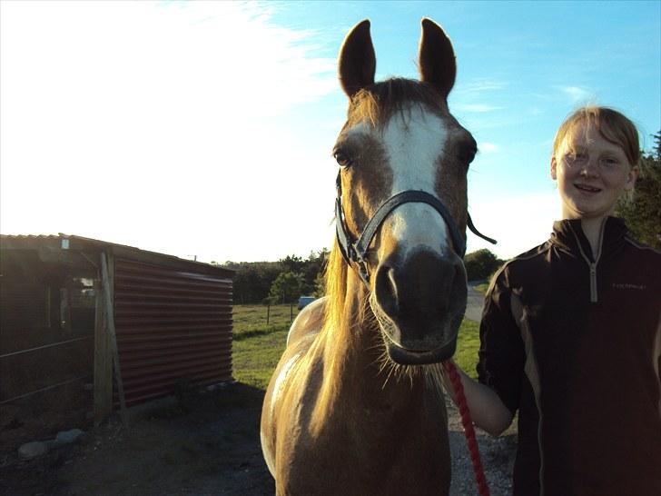 Anden særlig race Verdi - er er Verdi!!!!! billede 1
