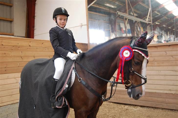 New Forest Marvin - Spring stævne i Guldager billede 18