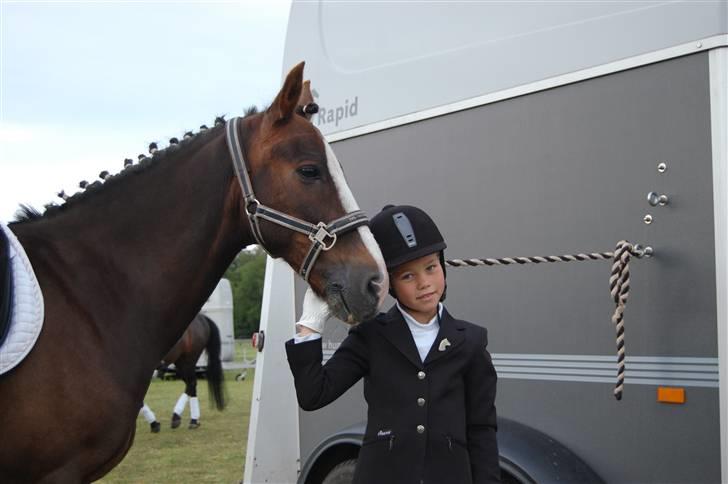 New Forest Marvin - Stævne i Ribe. Desværre ingen placering... billede 8